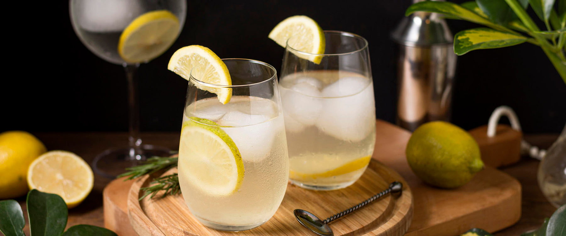 Recipe: How to Make the Perfect Gin and Tonic (With Origin Story)