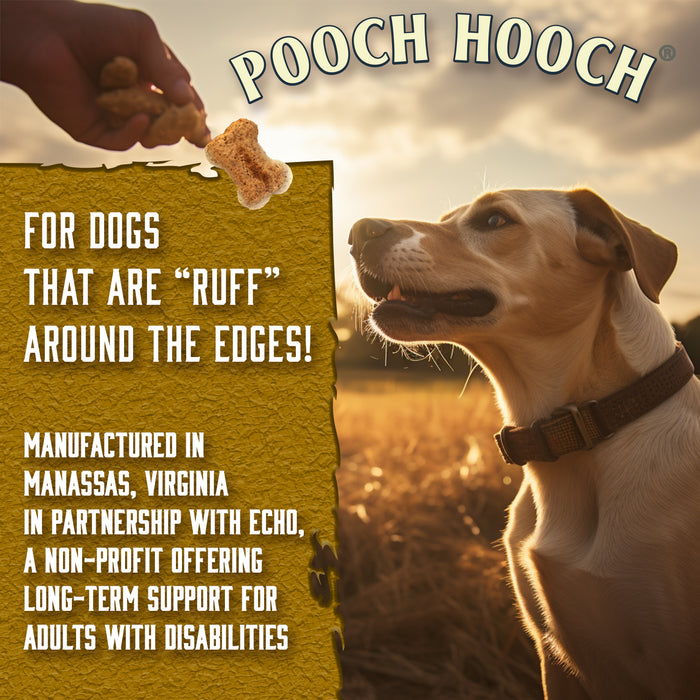 Pooch Hooch Dog Treats - Beer